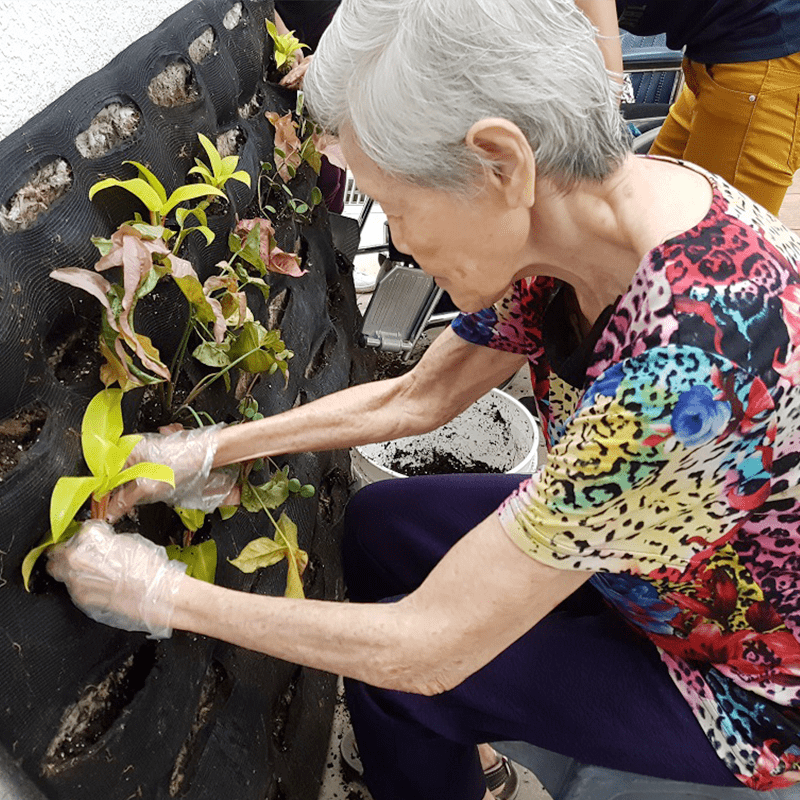 Greenology Academy | Lady planting