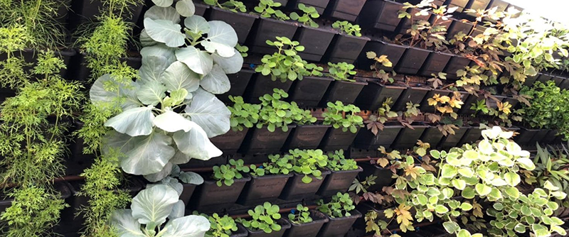 Foodscapes balcony garden | Greenology Singapore