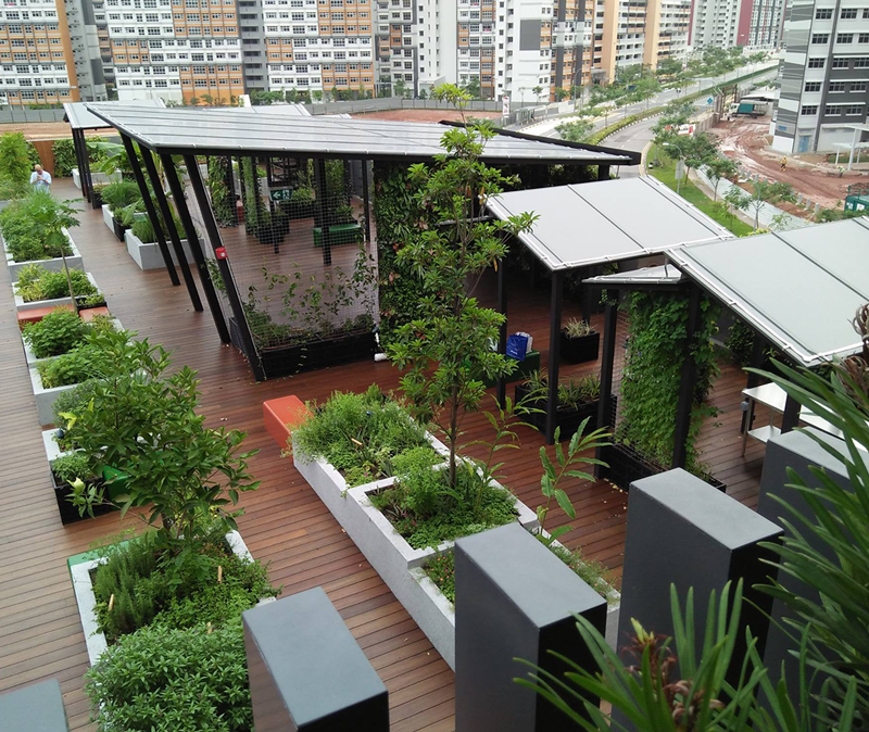Greenology Singapore | Community Garden | Dulwich College Singapore