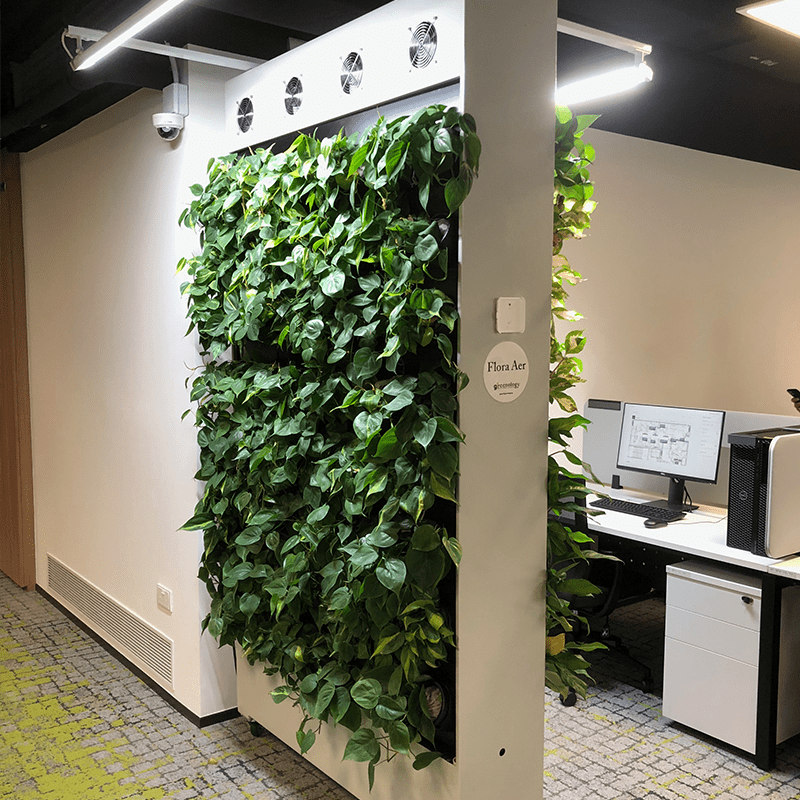 Greenology Singapore | Flora Aer system in Office