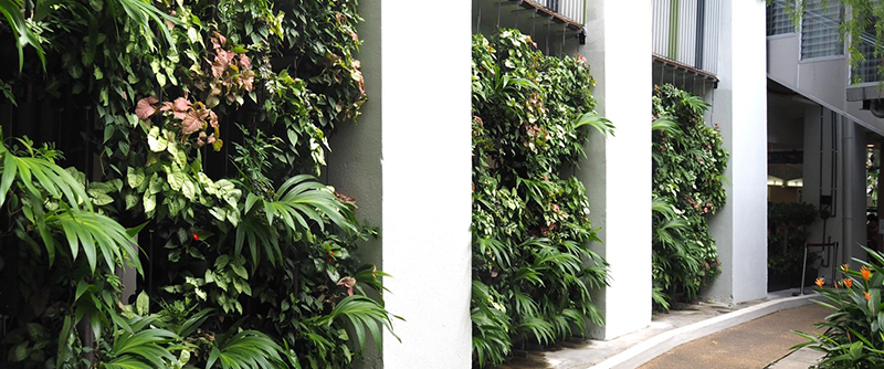 Greenology Singapore | Urban Greening | Green walls at Chua Chu Kang Polyclinic