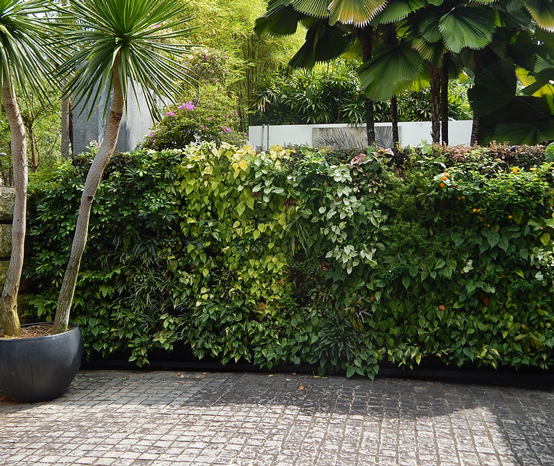 Greenology Singapore | Outdoor Vertical Wall | Residential Project