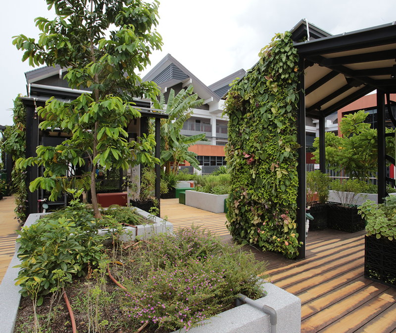 Greenology Singapore | Dulwich College Singapore | Rooftop Garden
