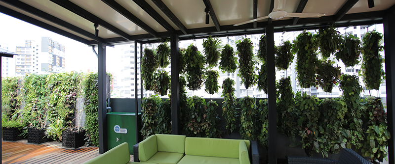 Greenology Singapore | Green Fins and Tubes | Dulwich College