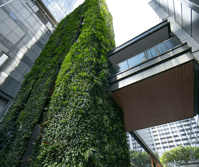 Greenology Singapore | The Heeren Singapore | Vertical Green Wall