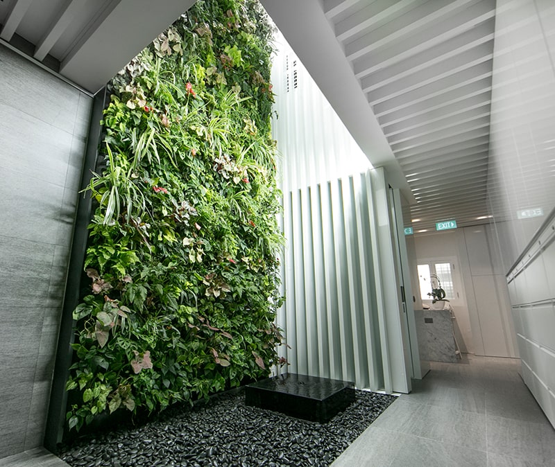 Indoor vertical green wall | Greenology Singapore