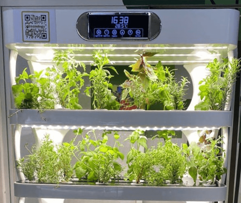 Hydroponics machine to grow your own herbs | Greenology Singapore