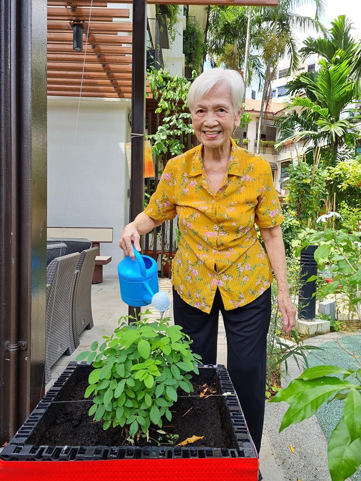 Elderly woman watering plant | Apex Harmony | Greenology Academy