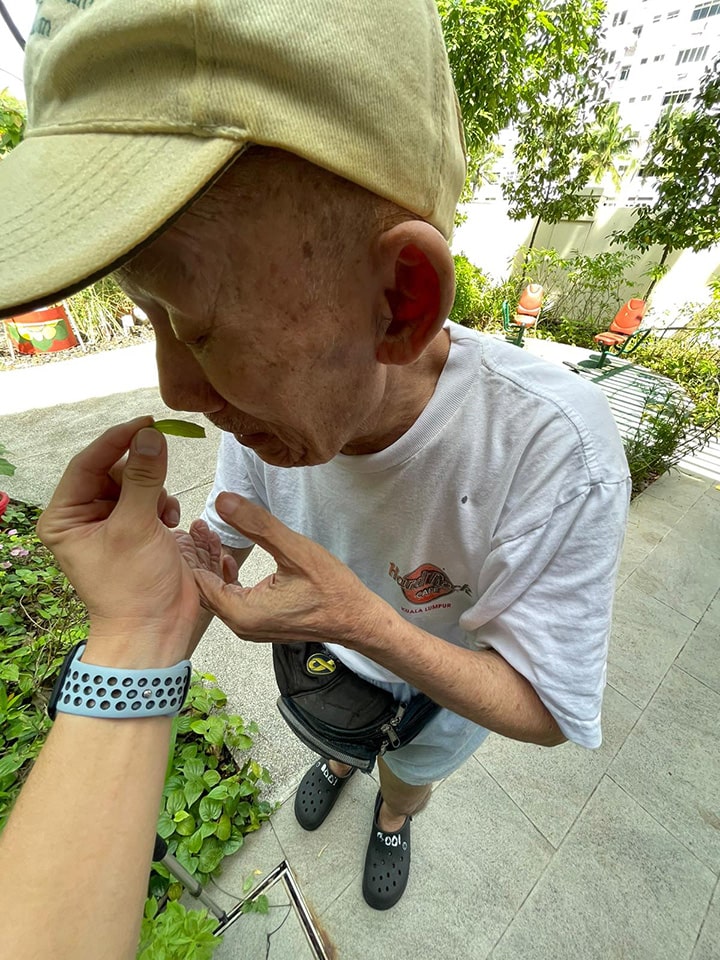 Elderly gentleman smelling a leaf | Apex Harmony | Greenology Academy