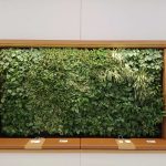 Apple Store Jewel Vertical Greenery