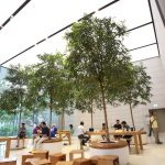 Apple Store Orchard Interiorscape 1