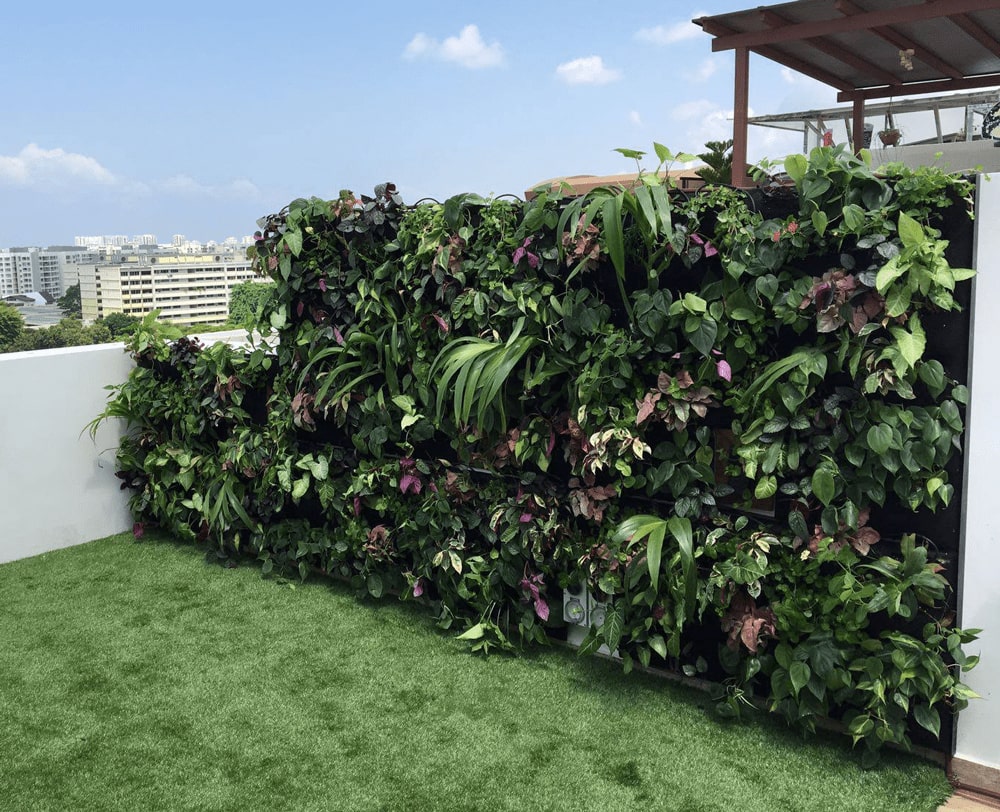 Greenology Singapore | Balcony Garden in Singapore