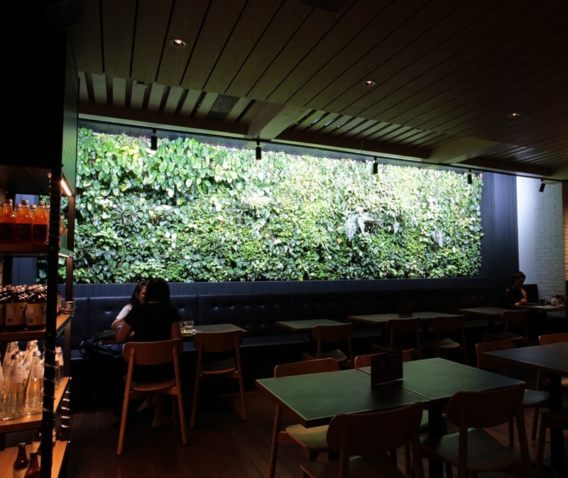 The Providore | Indoor green wall | Greenology Singapore