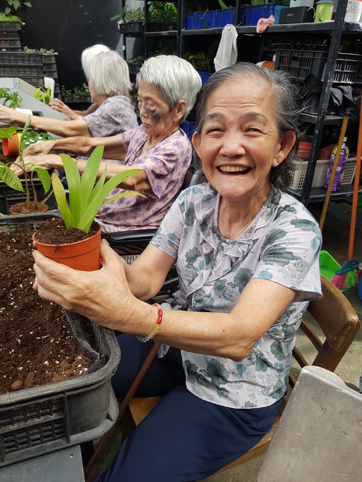 Elderly ladies planting | Apex Harmony Lodge | Greenology Singapore