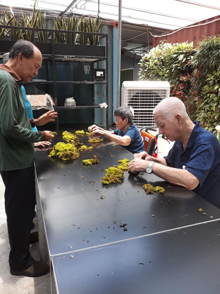 Workshop for elderly residents of Apex Harmony Lodge | Greenology Singapore