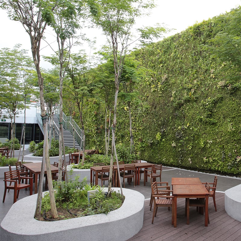 Greenology Singapore | Design and Build | Dulwich College Singapore