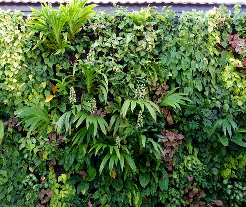 Private Residential Project | outdoor green wall | Greenology Singapore