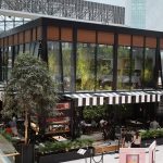 PS Cafe Raffles City Vertical Greenery Interiorscape 1