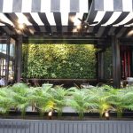 PS Cafe Raffles City Vertical Greenery Interiorscape 2