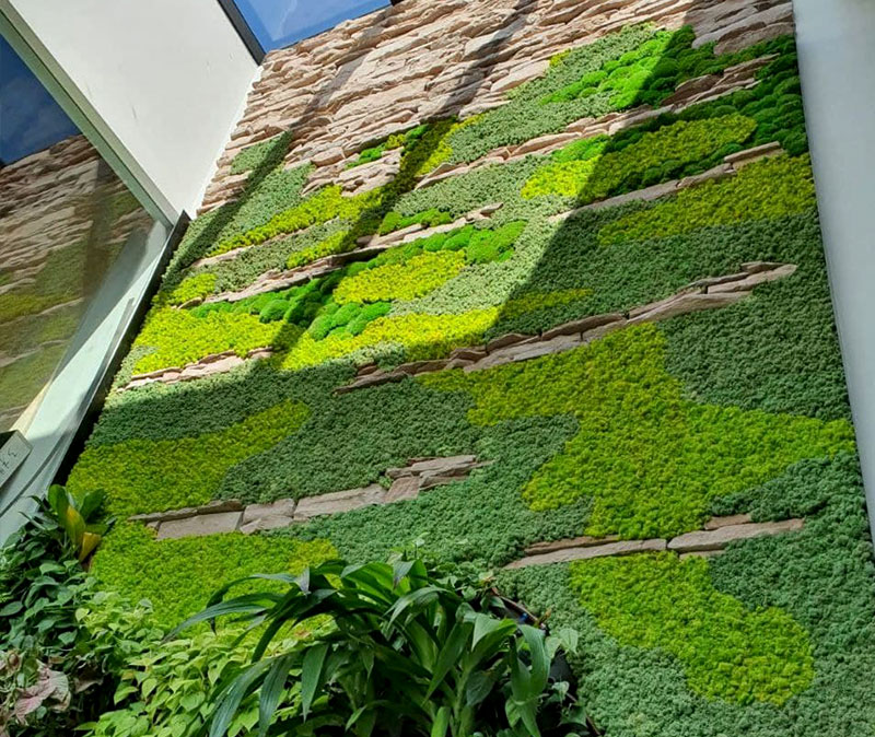 Greenology Singapore | Private Residential Project | feature wall