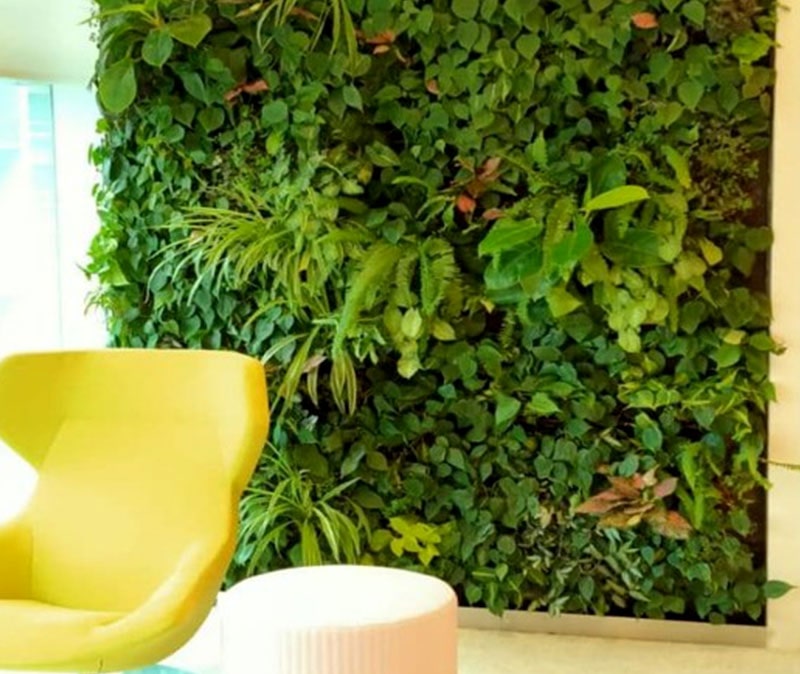 Temasek Shophouse | Indoor green wall | Greenology Singapore