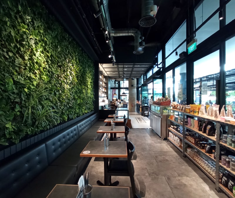 The Providore | Indoor green wall | Greenology Singapore