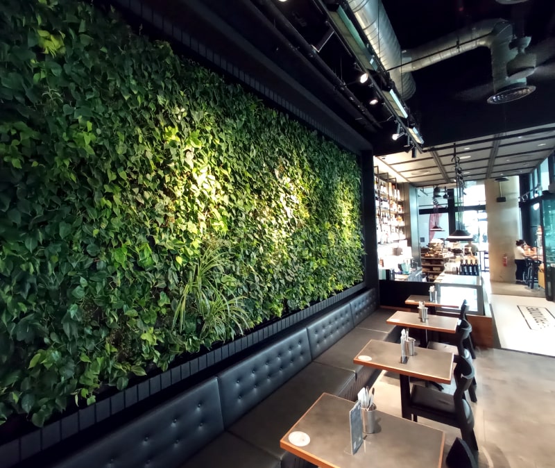 The Providore PLQ | Indoor green wall | Greenology Singapore