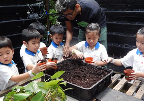 Kidzmonte students learning to plant | Greenology Academy