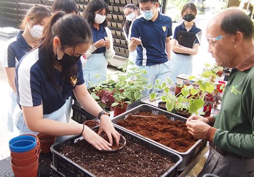 Catholic Junior College student learning to plant | Greenology Academy