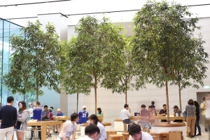 Greenology Singapore | Apple Store at Orchard Road | Singapore