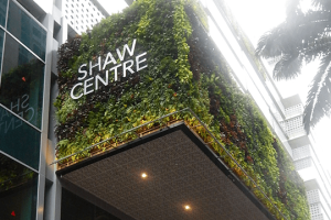 Greenology Singapore | Vertical Greenery | Shaw Centre Singapore
